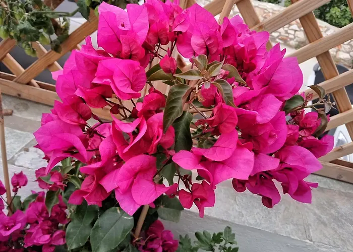 Nektarias No1 Apartment *